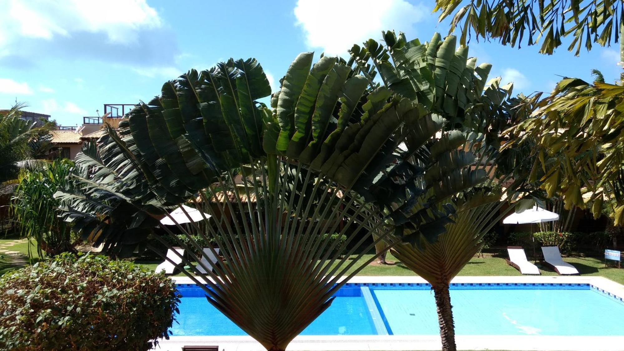 Unidades Vilas Triplex No Pipa Beleza Praia de Pipa المظهر الخارجي الصورة